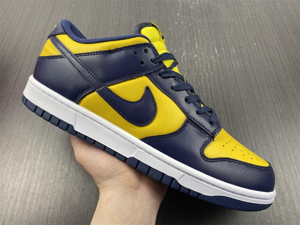 from Nike SB Dunk Low Michigan DD1391-700