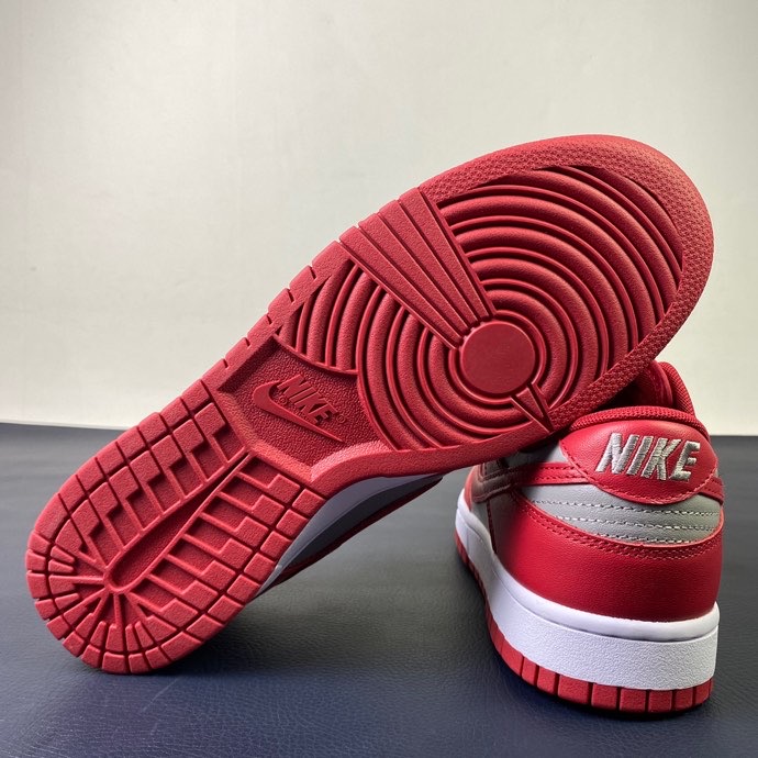 from Nike SB Dunk Low DD1391-002