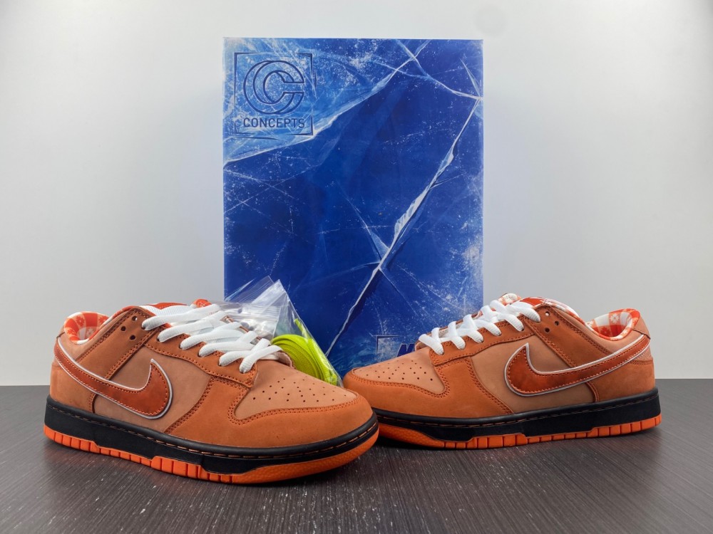from Concepts x Nike SB Dunk Low FD8776-800