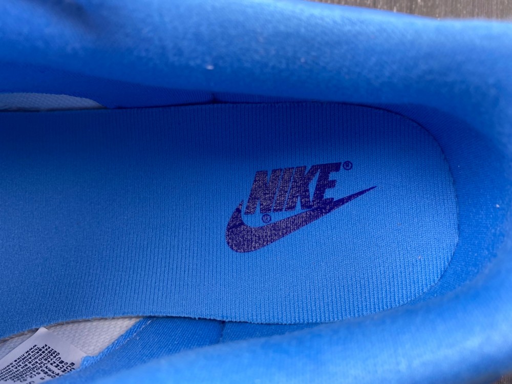 from Nike SB Dunk Low DJ9955-101