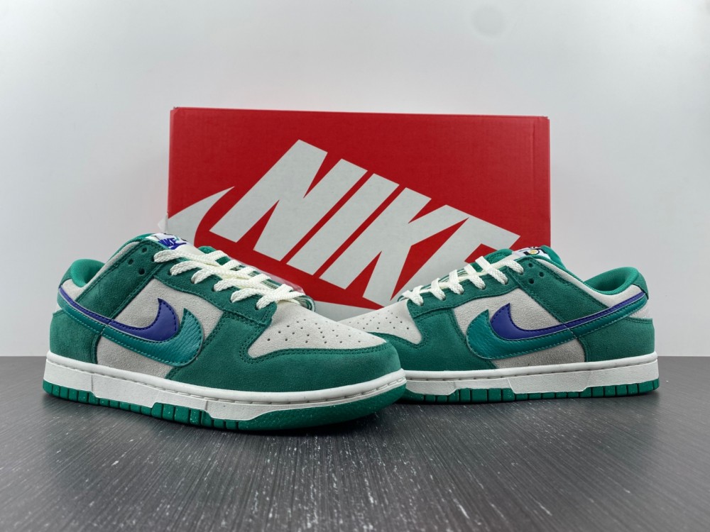 from Nike SB Dunk Low DO9457-101