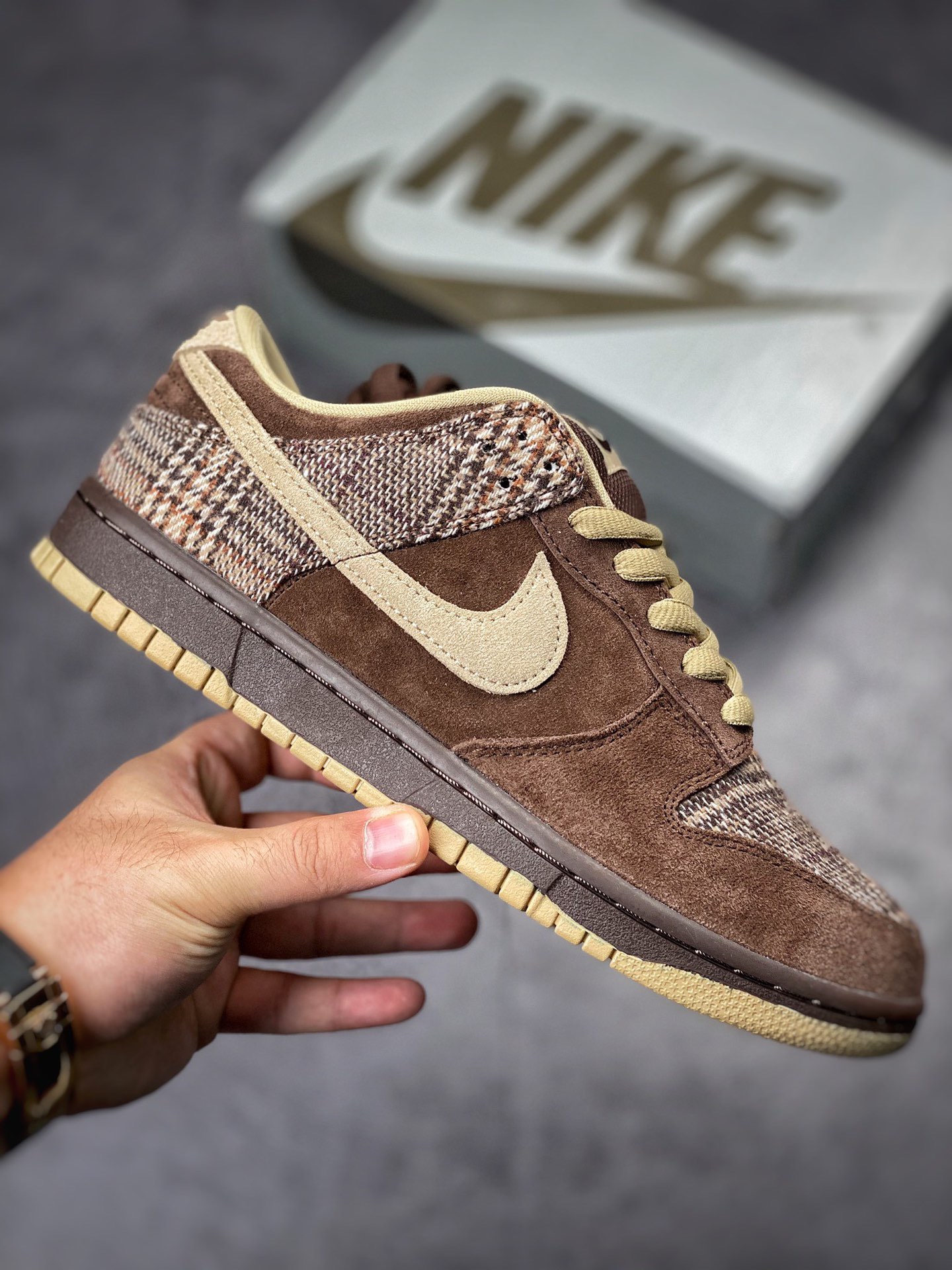 Nike dunk SB Low