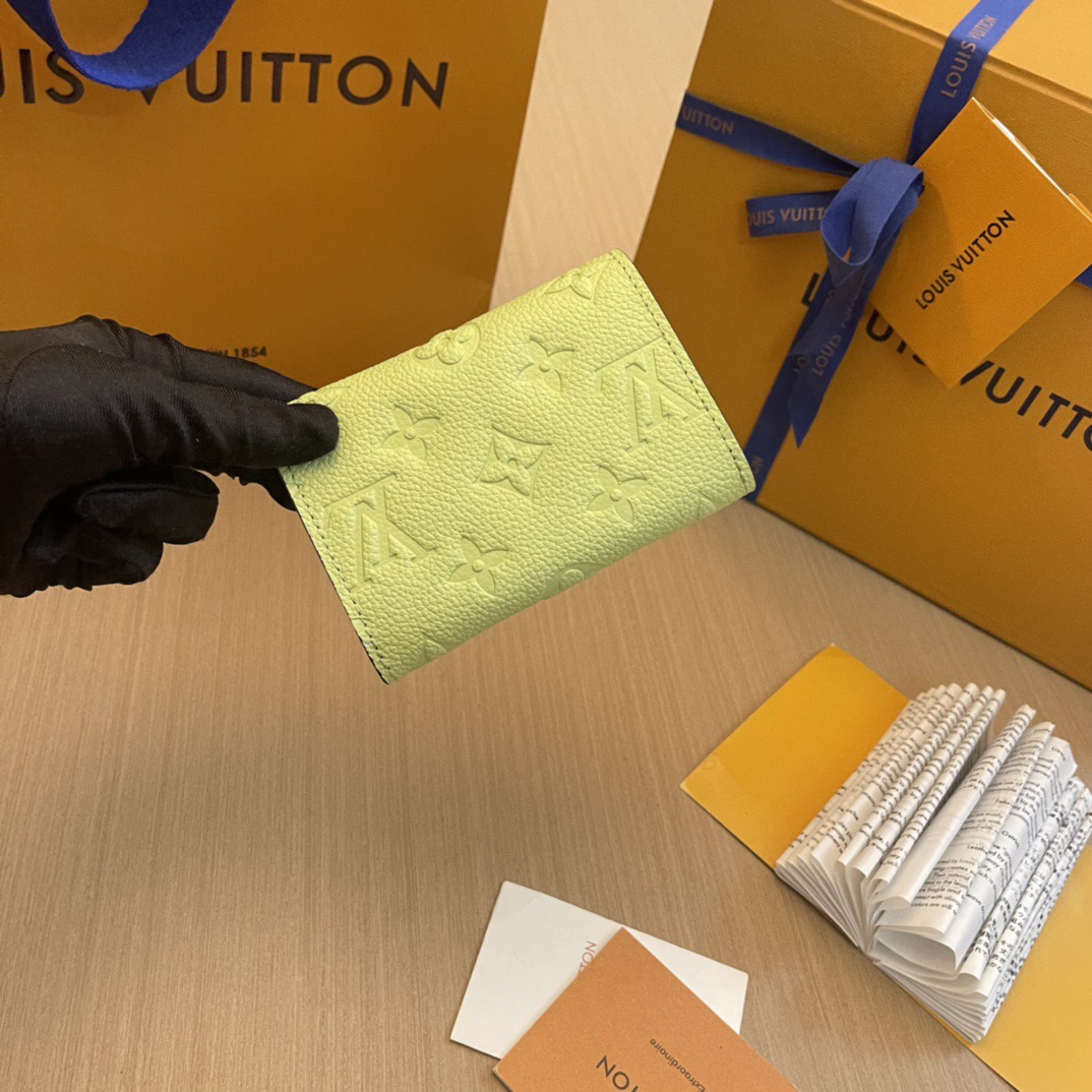 L*ouis V*uitton Top Bag