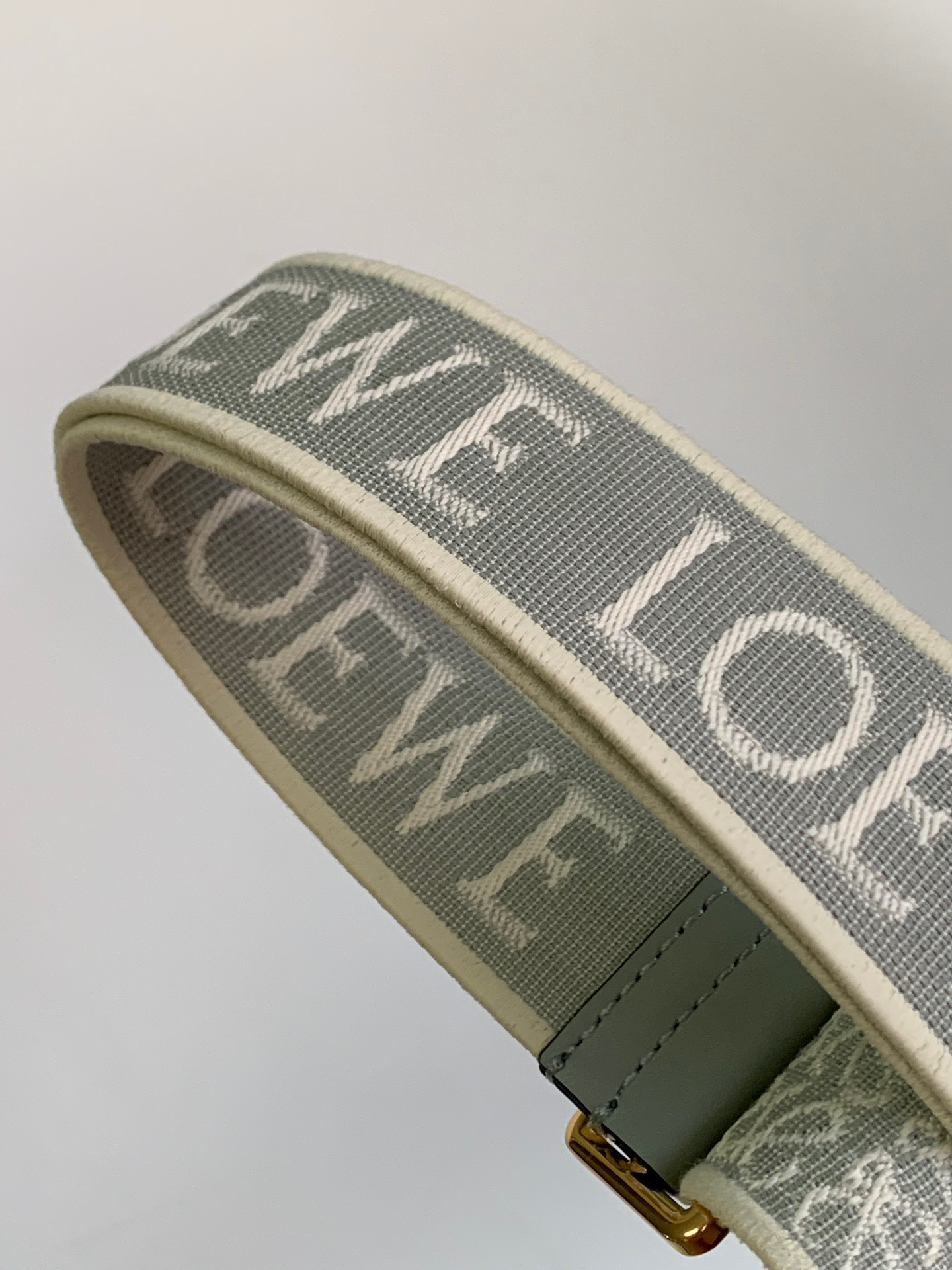 L*oewe Bag 011821 Top Quality