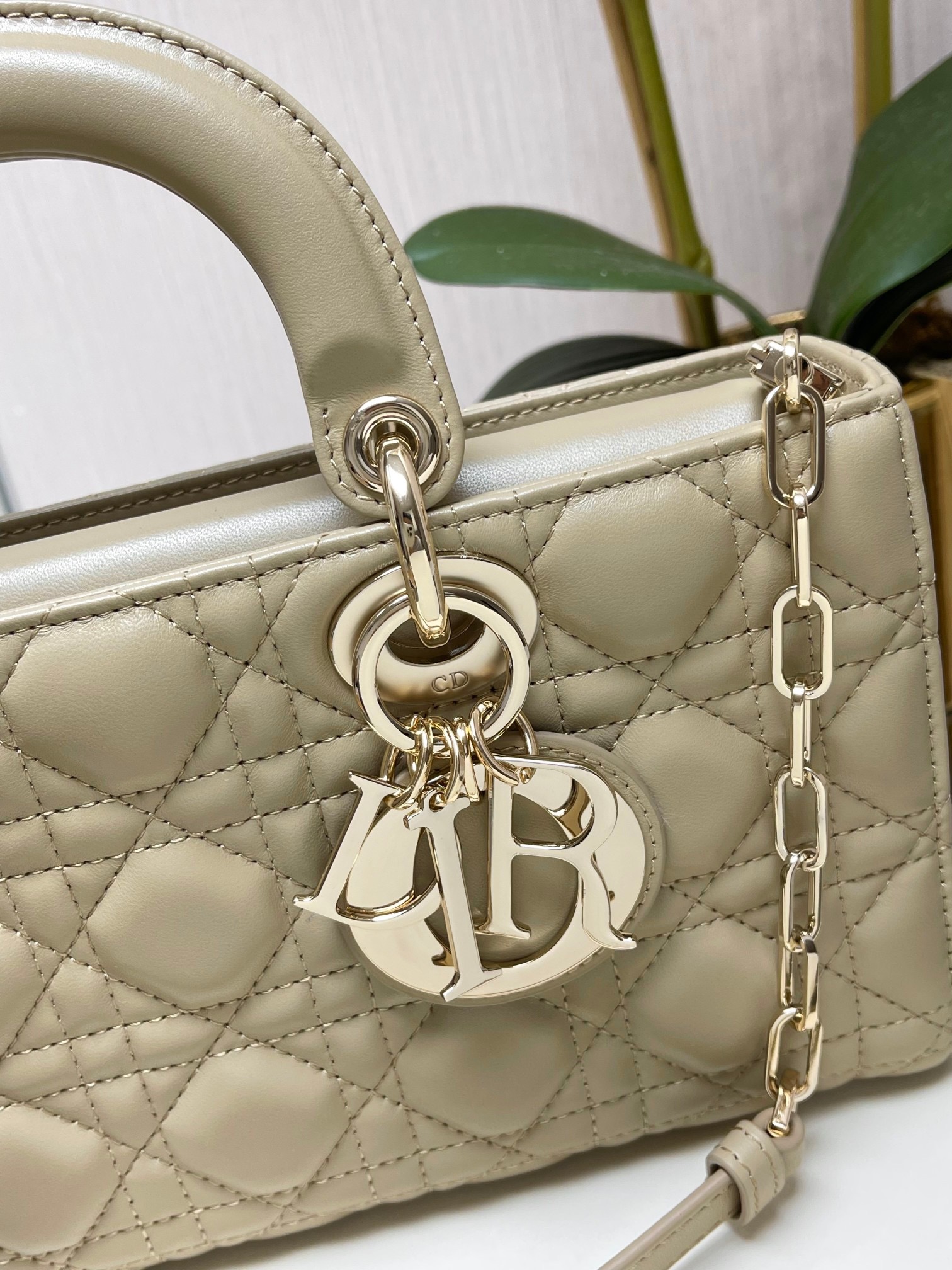 Women D*ior Bag Top Quality