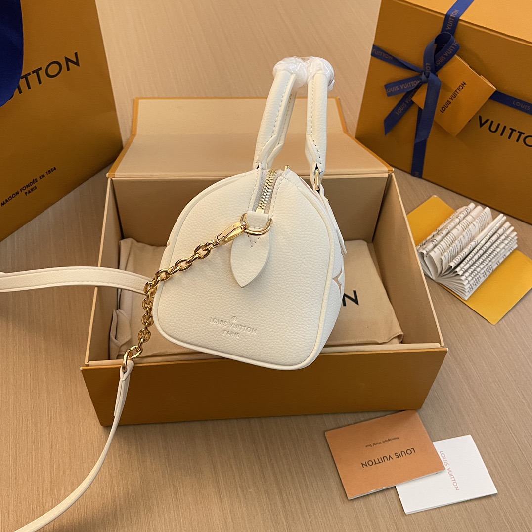 L*ouis V*uitton Top Bag