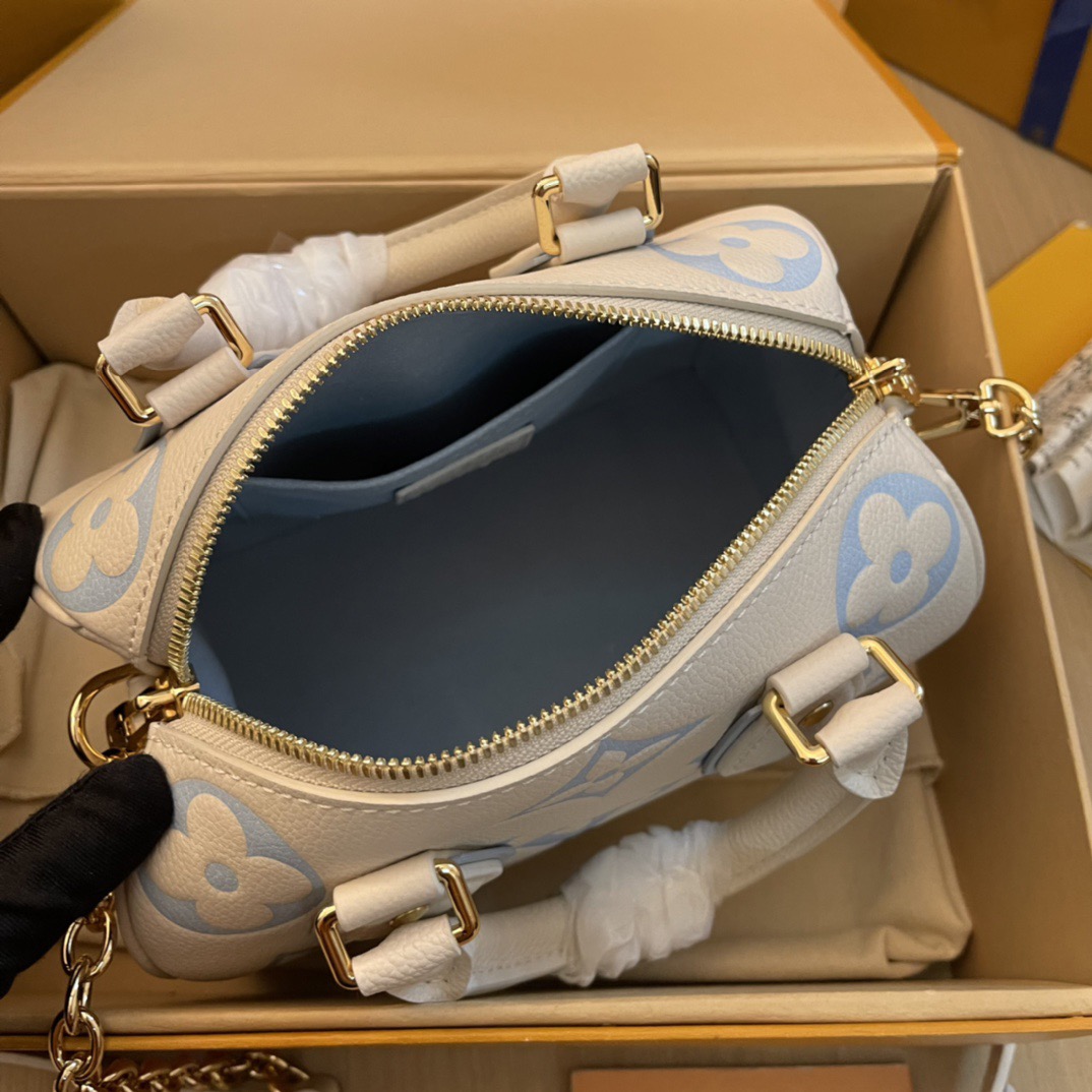 L*ouis V*uitton Top Bag