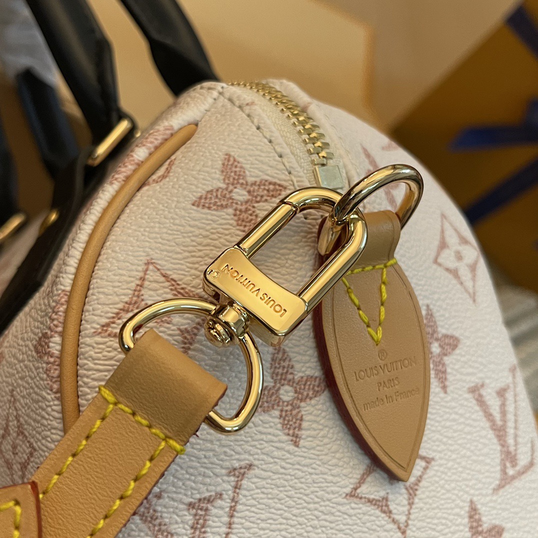 L*ouis V*uitton Top Bag