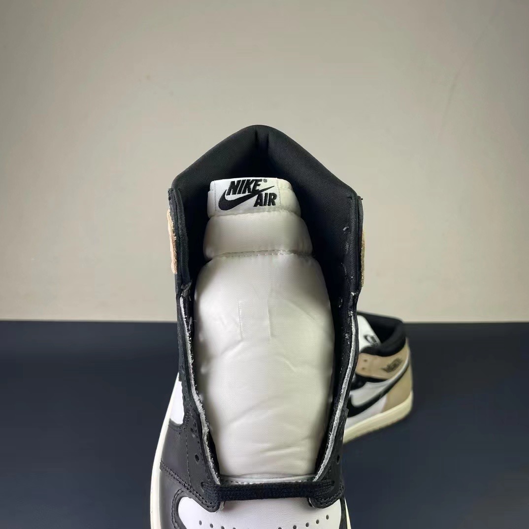 Air Jordan 1 sneaker