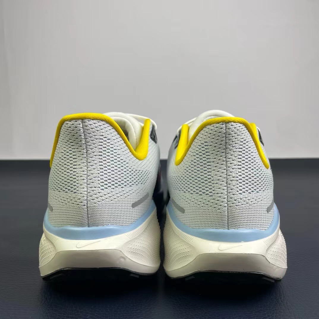 Men Nike pegasus 41 Air zoom