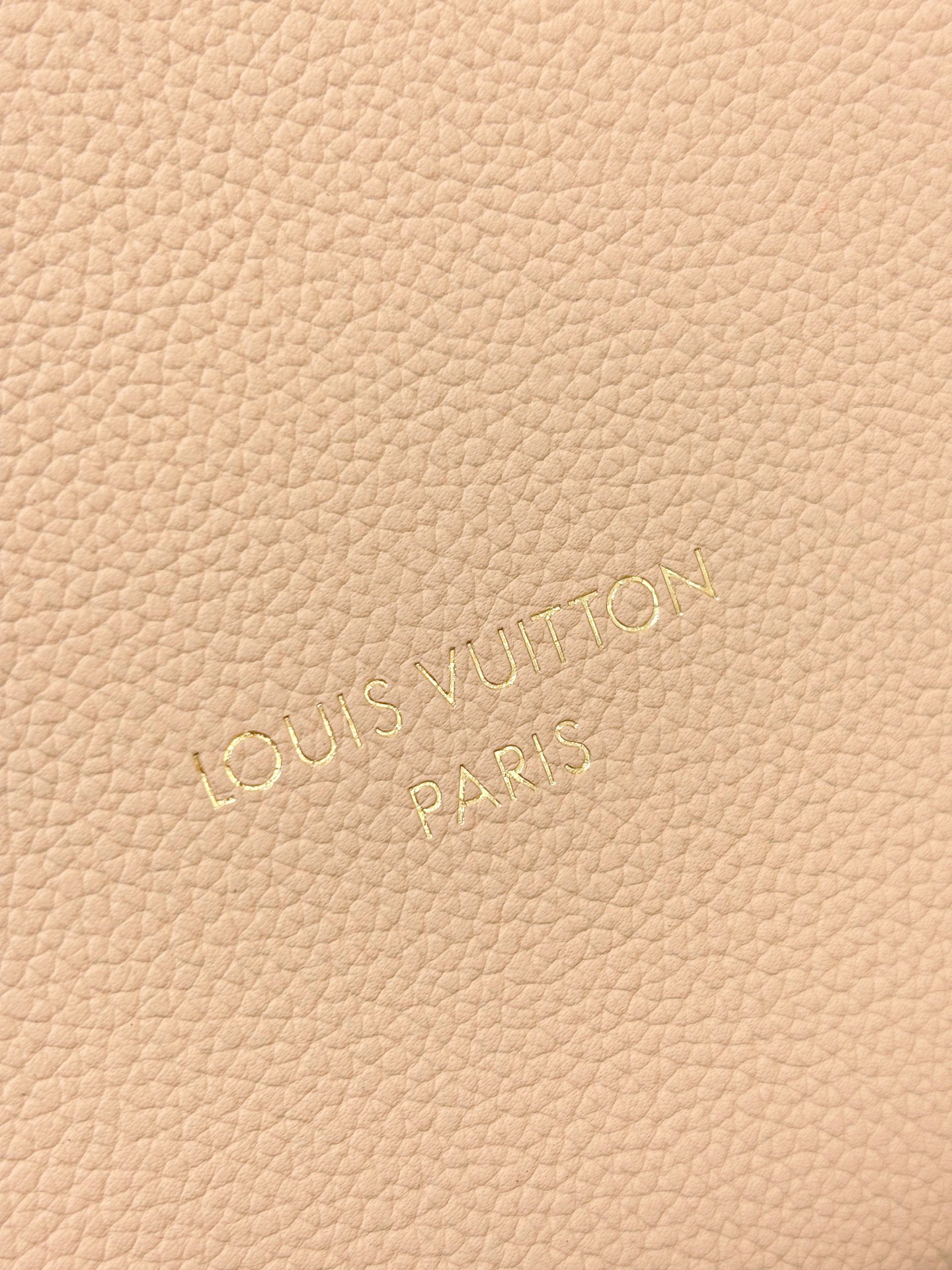 L*ouis V*uitton Top Bag