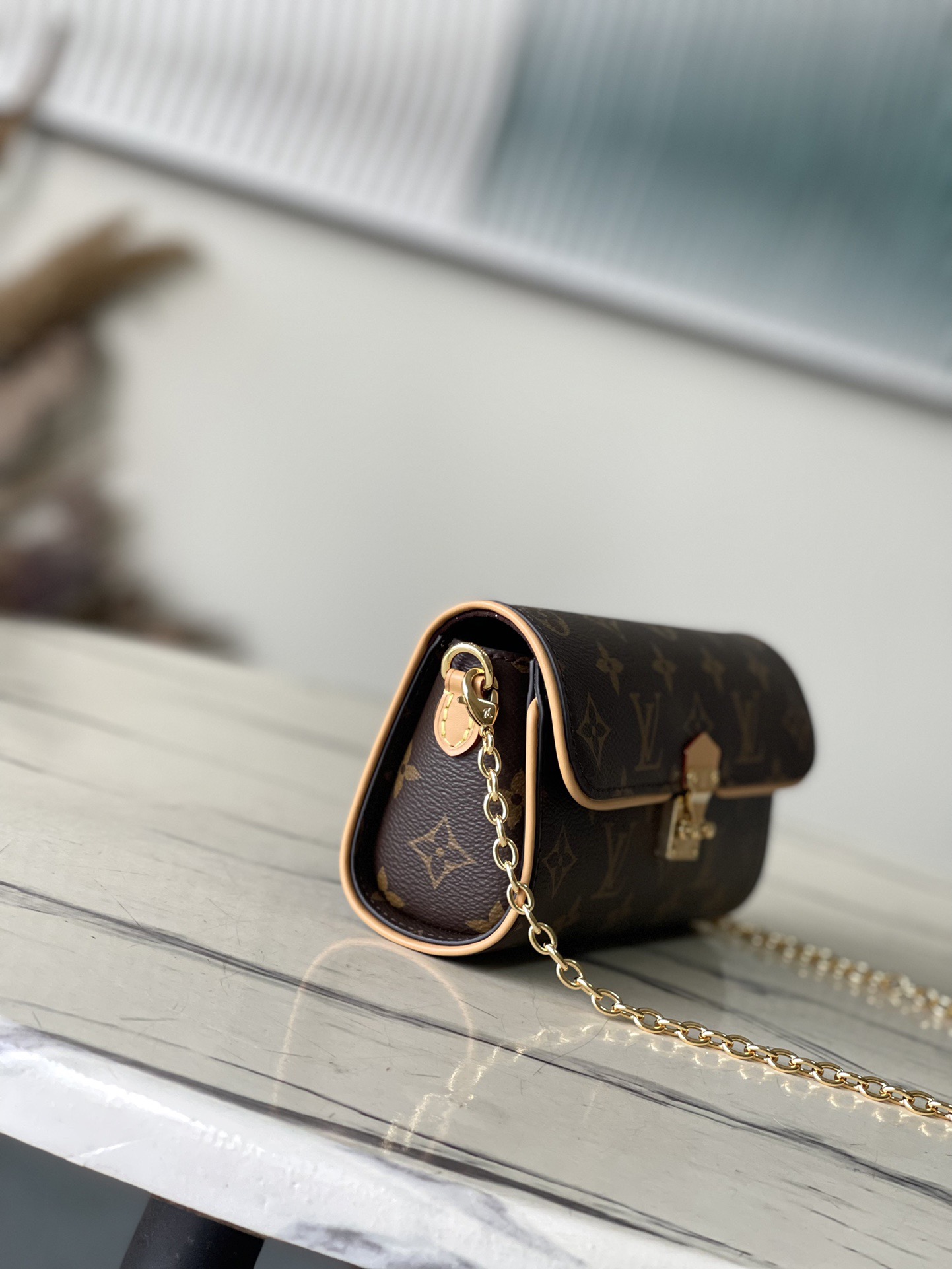 L*ouis V*uitton Top Bag